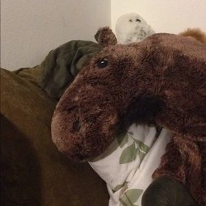 Meet your Posher, James